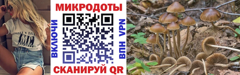 Псилоцибиновые грибы GOLDEN TEACHER  магазин    Абдулино 